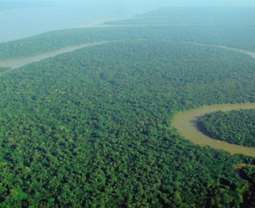 نهر الأمازون