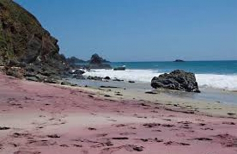  شاطئ بفايفر الزهرى