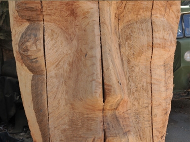 المنحوتة في الورشة