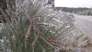 صور من حمص وريفها جراء العاصفة الثلجية