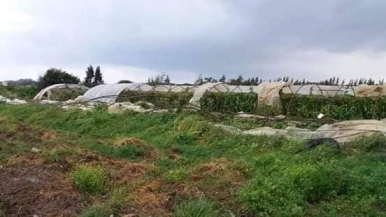 تنين هوائي ضرب منطقة المنطار في طرطوس وأضرار للمزارعين