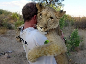 .شابان ينقذان مجموعة من الأسود ضلت طريقها‎