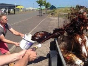  أغرب طقوس الزواج حول العالم