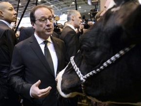 بعدسات المصورين .. مواقف طريفة لسياسيين‎ 