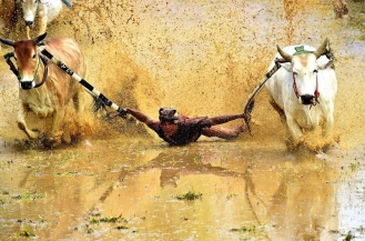 بعض الصور المشاركة في مسابقة ناشيونال جيوغرافيك 2016