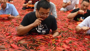  تحديات غريبة وطريفة تجتاح أنحاء العالم