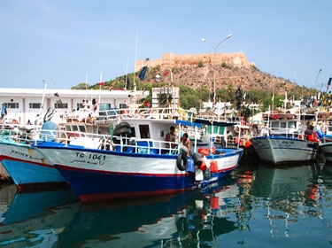 ألف يورو رسم المشاركة بتظاهرة مدن اليونسكو