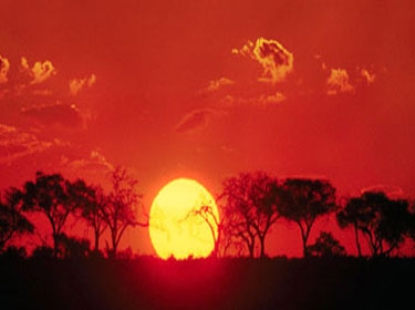  علماء الفلك في مصر يؤكدون ارتفاع درجة الحرارة بسبب النشاط الشمسي