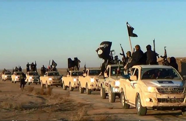  خبر وتعليق...