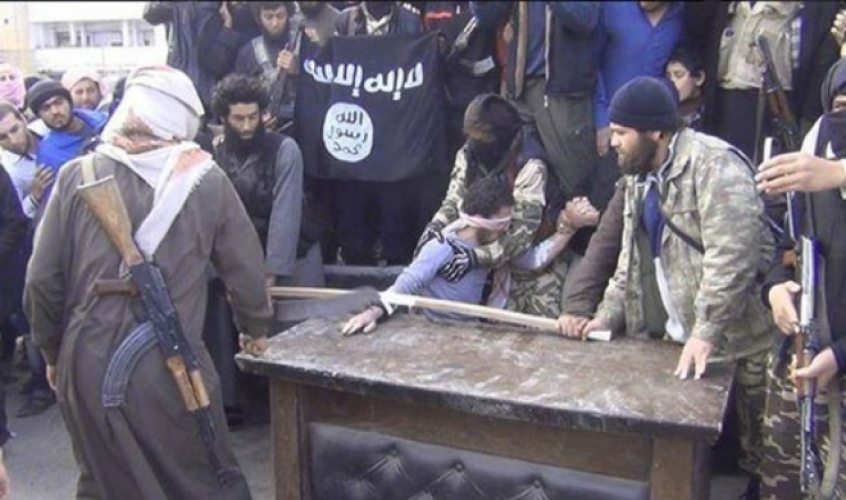  خبر وتعليق... 