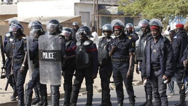 السنغال تعتقل 3 أشخاص بتهمة الاتجار بجلود حيوانات مهددة بالإنقراض