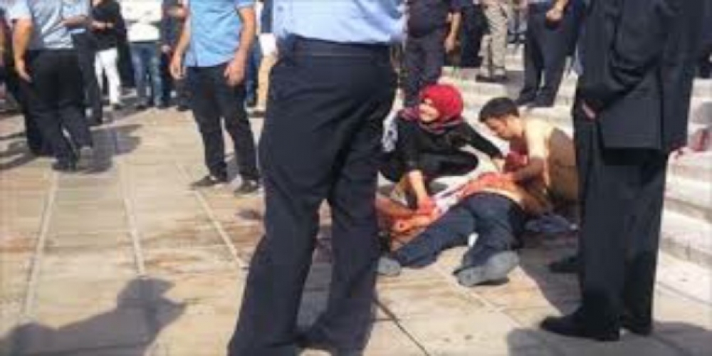 هل الحل في الماضي أم في المستقبل!؟       بقلم : 