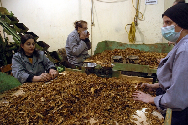 إنذارات إخلاء منطقة اللوان بدمشق خلال أسبوع.. وأكثر من 4 مليارات بدلات إيجار للمستحقين.. لا تخفيض على أسعار مبيع الدخان الوطني!