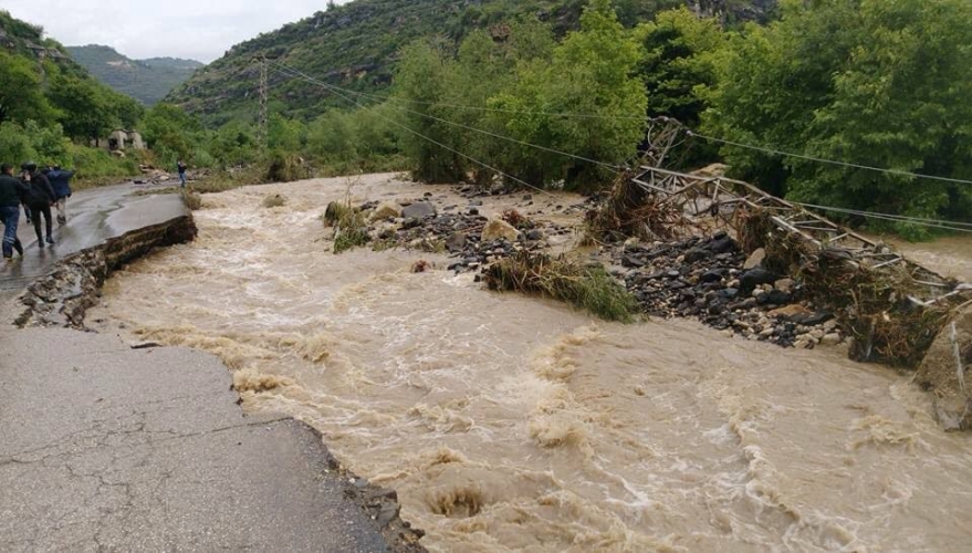 البدء بتقدير أضرار المحاصيل الزراعية ووضع آليات مناسبة للتعويض.. 90% أضرار الزراعات في اللاذقية!