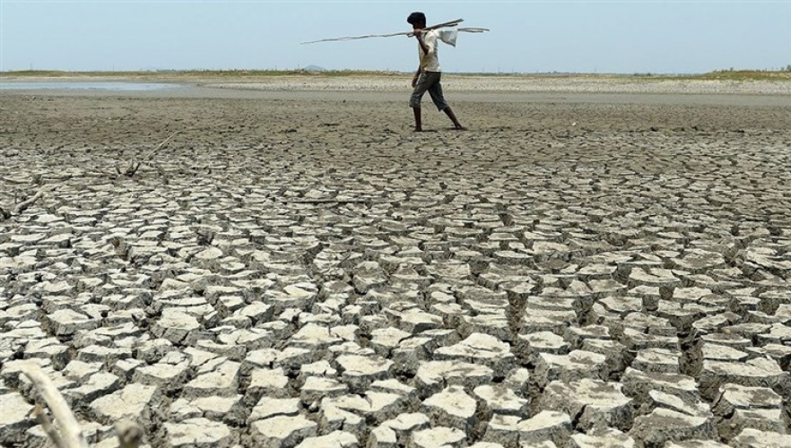 الأنظمة البيئيّة مهددة بتحول هائل