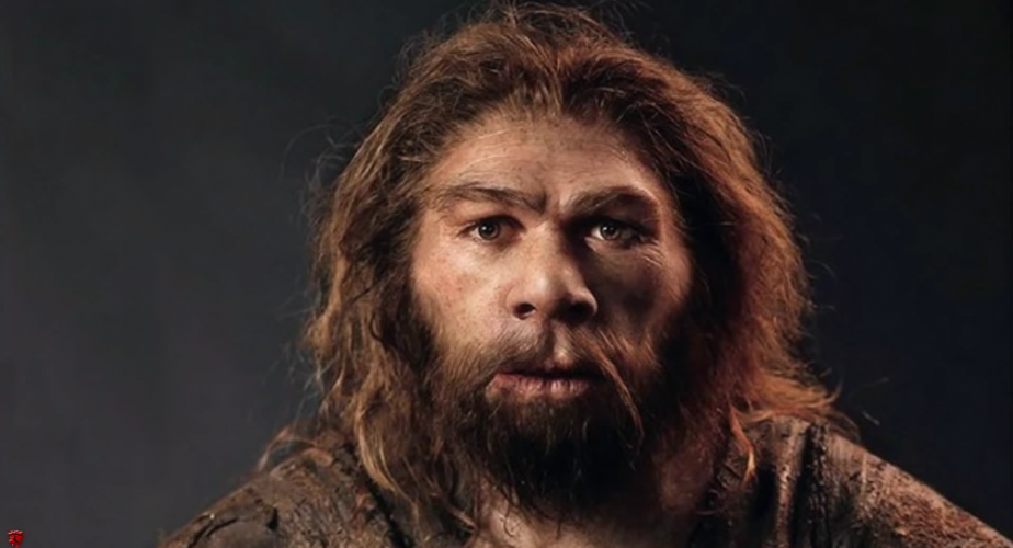 زواج حدث قبل 500 ألف سنة أنقذ الإنسان الحالي من الانقراض   