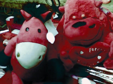 هدايا الفالنتاين.. حمار وغوريلا وفرس النهر.. لكن باللون الأحمر!