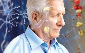مادة غذائية تحسن الوظائف الإدراكية لدى المسنين بنسبة 60%