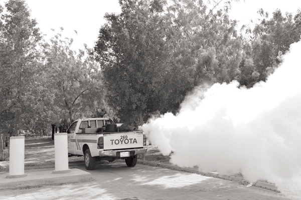   محافظة دمشق تؤكد متابعتها رش المبيدات احترازيا لمكافحة الحشرات 