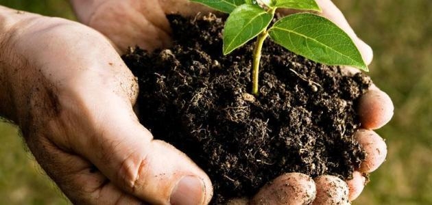 واشنطن تستبدل دفن الموتى بتحويلها إلى 