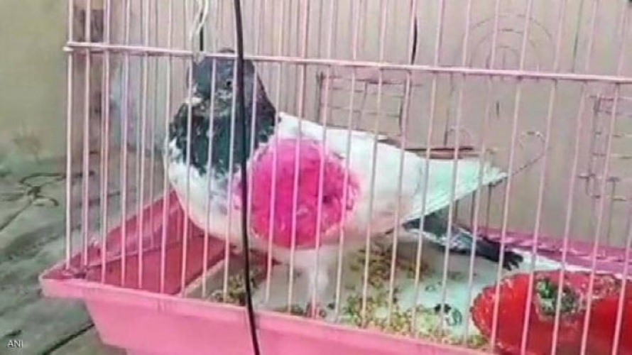 الهند تقبض على 