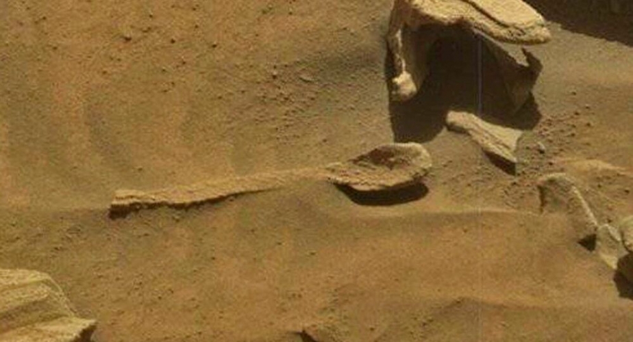 علماء يؤكدون وجود 