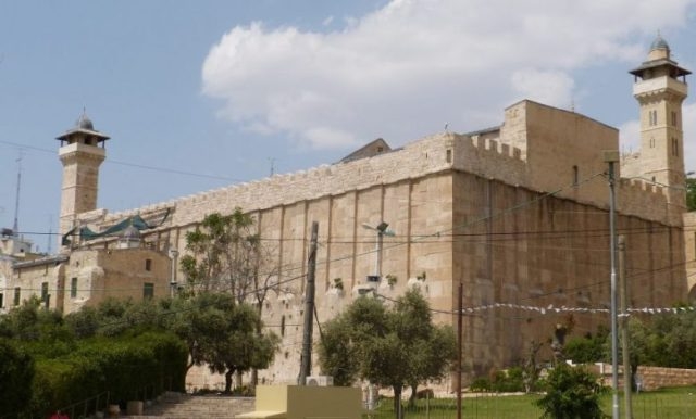 فلسطين تدعو 