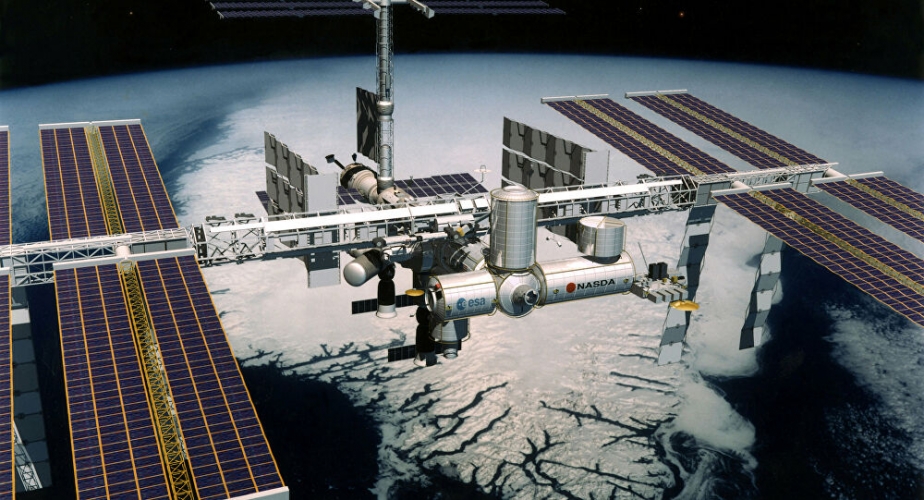 كائن حي بقي 3 سنوات على قيد الحياة في الفضاء