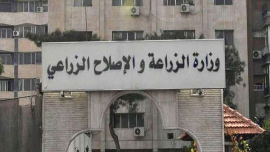 وزارة الزراعة تحذر من زراعة شجر الباولونيا والنيم والسرخسيات لأضرارها على البيئة   