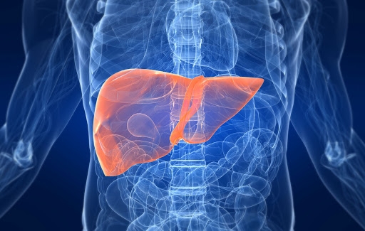 نظام غذائي يدعم وظائف الكبد