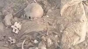 مصر تكشف لغز 