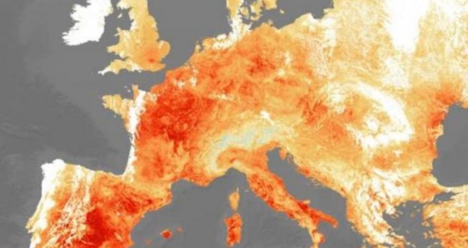 عالم كوري: الاحتباس الحراري يمكن أن 