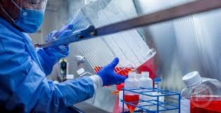 تحديد موعد القمة العالمية لمكافحة كورونا