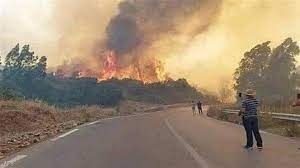 تنفيذ حُكم الإعدام بـ 24 مجرماً ارتكبوا أعمالاً إرهابية عبر إشعال الحرائق