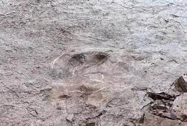 اكتشاف آثار أقدام للديناصورات من العصر الطباشيري في جنوبي الصين