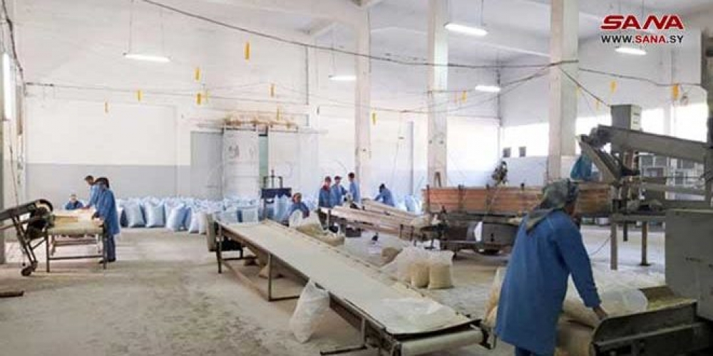 البصل تبيع ب١٠٠ مليون ليرة ب ٣ أشهر