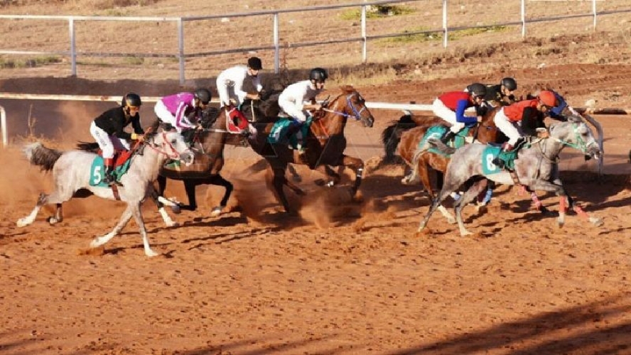 اختتام منافسات السباق الدوري الثاني للفروسية بحماة