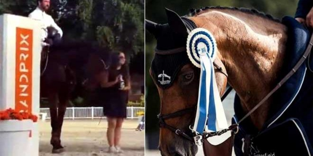 تحضيراً لدورة المتوسط.. الفارس حمشو يحقق المركز الثاني في بطولة كامبين كلاسيك الدولية لفروسية قفز الحواجز