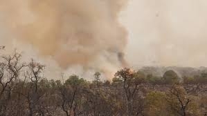 السيطرة على حرائق غابات في 3 محافظات في المغرب العربي
