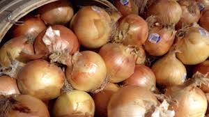 بدون تفسير علمي حتى الآن .. البصل يخفض سكر الدم لدى مرضى السكري درجة 2   