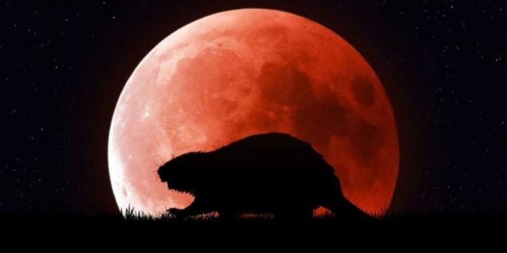 قمر القندس الكامل يظهر اليوم في هذه المناطق .. مع خسوف كلي