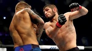 حبيب نورمحمدوف يبتعد عن الفنون القتالية المختلطة نهائياً