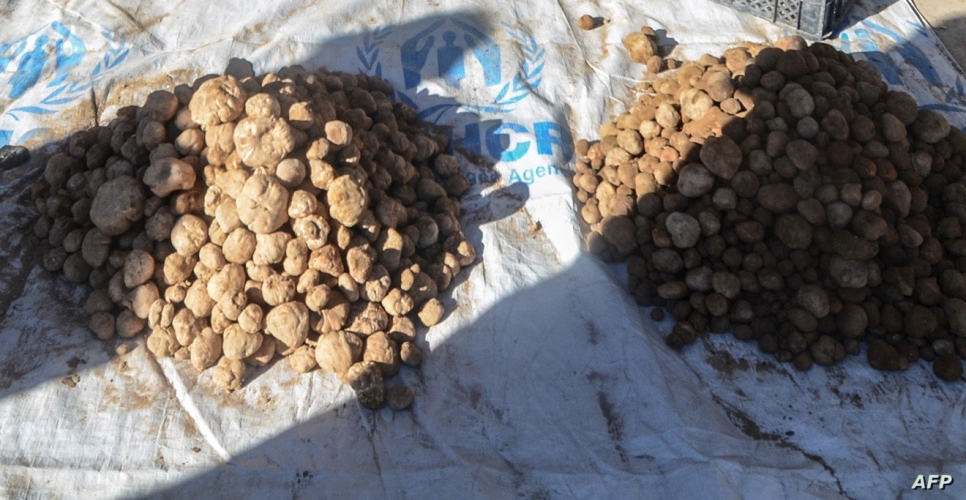 استشهاد شاب وشقيقته بانفجار لغم من مخلفات الإرهابيين بريف حماة