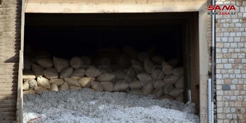 محلج محردة ينتج 450 طناً من البذور الزراعية عن الأقطان المحبوبة في حماة