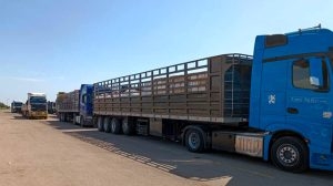 قافلة مساعدات أردنية للمتضررين من الزلزال تدخل من مركز نصيب الحدودي