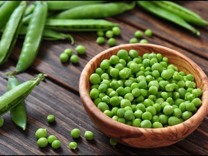 توقعات بإنتاج ١٨٧١ طناً من البازلاء في درعا