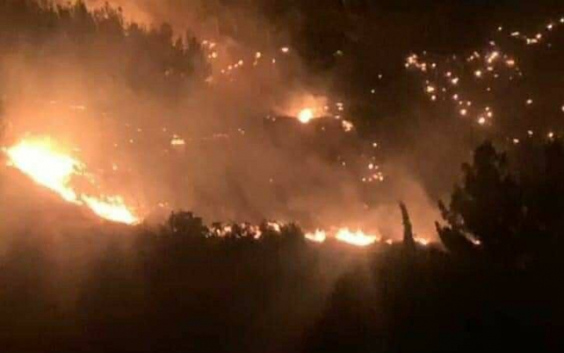 إخماد حريق نشب وامتد لمساحات واسعة في محلة دمر بدمشق