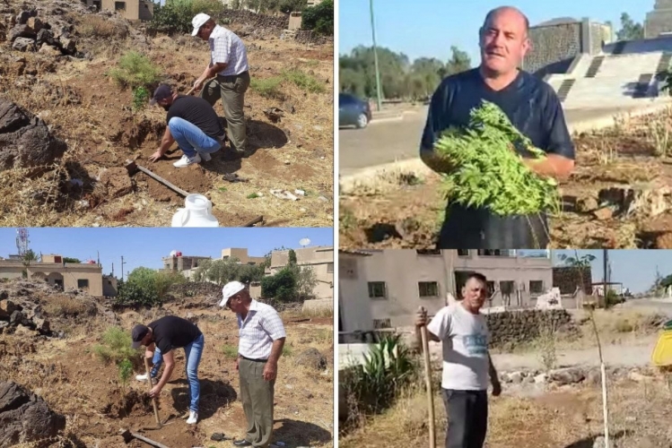 في السويداء.. مبادرة تحدي لزراعة الأشجار في قرية نجران بجائزة مليون ليرة تتمدد قي قرى المحافظة