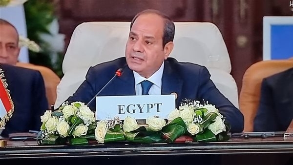 السيسي: تصفية القضية الفلسطينية دون حل عادل لن يحدث ولن يحدث على حساب مصر