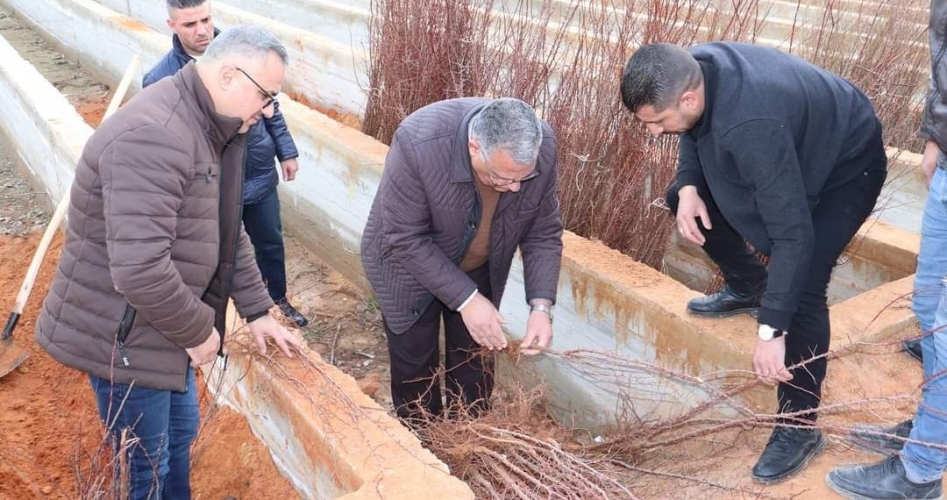 وزير الزراعة: إنتاج غراس مطابقة للمواصفات واستكمال الأعمال في مركز الجربا لتربية الخيول